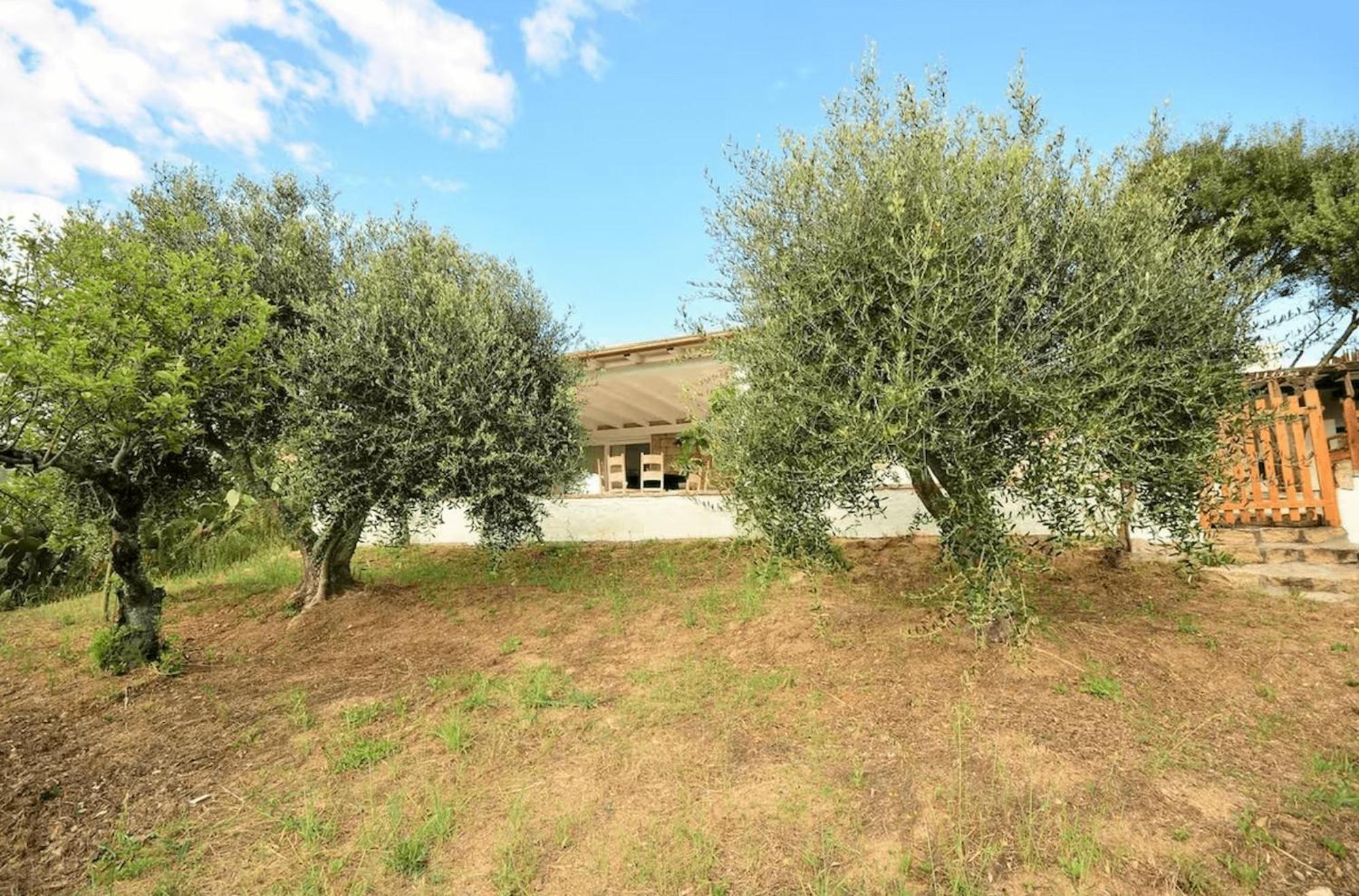 Locanda In Vigna Villa Arzachena Exterior photo